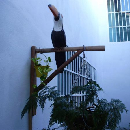 Aconchego Dos Milagres Villa Sao Miguel dos Milagres Luaran gambar