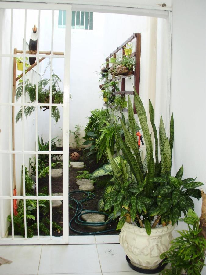 Aconchego Dos Milagres Villa Sao Miguel dos Milagres Luaran gambar